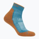 Чоловічі шкарпетки Icebreaker Merino Hike+ Light Mini топаз/трекінг