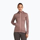 Льодолазка жіноча Merino 260 Quantum IV Zip Hoodie вершина/рум'янець