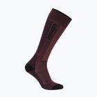 Шкарпетки гірськолижні жіночі Icebreaker Merino Ski+ Light OTC java/black/summit
