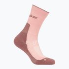Шкарпетки жіночі icebreaker Merino Hike+ Light Crew blush/summit