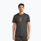 Футболка чоловіча icebreaker Merino 150 Tech Lite Bear Catch Tee obsidian