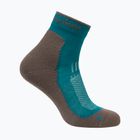 Шкарпетки жіночі Icebreaker Merino Hike+ Light Mini tidal teal/porcini