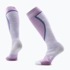 Шкарпетки лижні жіночі Ski Full Cushion OTC purple eclipse