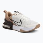 Кросівки для тренувань чоловічі Nike Air Max Alpha Trainer 6 sail/baroque brown/hemp/desert dust