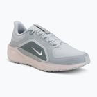 Чоловічі бігові кросівки Nike Pegasus 41 GTX light pumice/pure platinum/silt red/metal silver