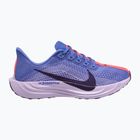 Buty do biegania damskie Nike Pegasus Plus sapphire/light thistle/purple dynasty