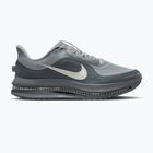 Чоловічі бігові кросівки Nike Pegasus Premium wolf grey/cool grey/anthracite/sail