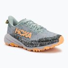 Кросівки для бігу жіночі HOKA Speedgoat 6 GTX jade/ash grey
