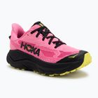 Кросівки для бігу жіночі HOKA Challenger 8 neon rose/black