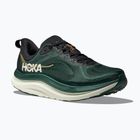 Кросівки для бігу чоловічі Hoka Kawana 3 bay leaf/sea glass
