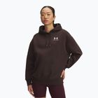 Жіноче худі Under Armour Icon Fleece Hoodie kona brown/white