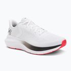 Чоловічі бігові кросівки Under Armour Charged Rogue 5 castlerock/black/campus gold