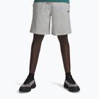 Шорти для тренувань чоловічі Under Armour Rival LW mod gray light heather/black