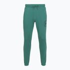 Штани чоловічі Under Armour Rival LW Graphic Jogger rack green/black