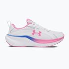 Кросівки для бігу жіночі Under Armour Assert 11 white/pink frenzy/pink frenzy