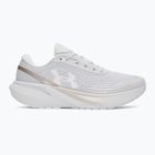 Кросівки для бігу жіночі Under Armour Velociti Sport halo gray/metallic buff/white