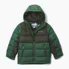 Куртка утеплена дитяча Columbia Pike Lake II Hooded rain forest/greenscape