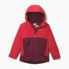 Дитяча лижна куртка Columbia Alpine Action III Rich Wine melange/mountain red