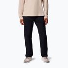 чоловічі трекінгові штани Columbia ROC Tech Chino black