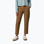 Чоловічі трекінгові штани Columbia ROC Straight Leg delta