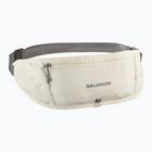 Пояс для бігу Salomon Pulse Sling icicle / castlerock