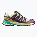 Кросівки для бігу жіночі Salomon XA PRO 3D V9 GTX transparent yellow/black/waterfall