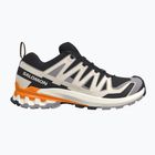 Кросівки для бігу чоловічі Salomon XA Pro 3D V9 black/gull