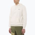 Кофта чоловіча Salomon Chest Logo Hoodie whisper white