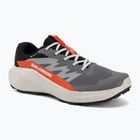 Кросівки для бігу чоловічі Salomon Alphaglide GTX castlerock/lunar rock
