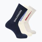 Шкарпетки Salomon Everyday Crew 3 pairs spellbound/vanilla ice/lunar rock