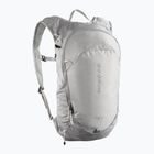 Рюкзак туристичний Salomon Trailblazer 10 l cloudburst/paloma/silver