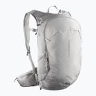 Рюкзак туристичний Salomon Trailblazer 20 l cloudburst/paloma/silver