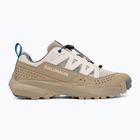 Кросівки туристичні чоловічі Salomon Techamphibian 5 rainy day/desert tan/mykonos blue