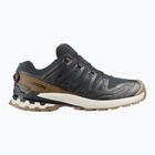 Кросівки для бігу чоловічі Salomon XA PRO 3D V9 GTX Lifelong black/coyote brown/vanilla ice