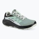 Кросівки для бігу жіночі Salomon Alphaglide GTX green milieu/asphalt