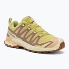 Кросівки для бігу жіночі Salomon XA Pro 3D V9 endive/burro/almond cream