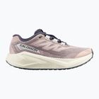 Кросівки для бігу жіночі Salomon Aero Blaze 3 GRVL shadow gray/vanilla ice/9iron