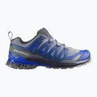 Кросівки для бігу чоловічі Salomon XA Pro 3D V9 wrought iron/spellbound