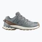 Кросівки для бігу чоловічі Salomon XA Pro 3D V9 GTX Lifelong sedona sage/coyote brown