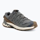 Кросівки для бігу чоловічі Salomon XA Pro 3D V9 GTX Lifelong sedona sage/coyote brown