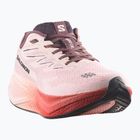 Кросівки для бігу жіночі Salomon Aero Blaze 4 vanilla ice/huckleberry