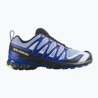 Кросівки для бігу чоловічі Salomon XA Pro 3D V9 Icon black/brunnera blue