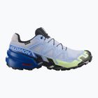 Кросівки для бігу чоловічі Salomon Speedcross 6 GTX Icon brunnera blue/surf the web