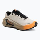 Кросівки для бігу жіночі Salomon Genesis 2 GTX rainy day/desert tan