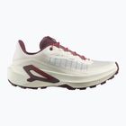 Кросівки для бігу жіночі Salomon Genesis 2 vanilla ice/huckleberry
