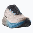 Кросівки для бігу чоловічі Salomon Aero Blaze 4 GRVL GTX oxford tan/black