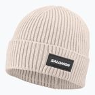 Шапка зимова Salomon Classic silver cloud