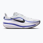 Кросівки для бігу чоловічі Nike Winflo 12 off white/white/wolf grey/black