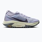 Кросівки для бігу жіночі Nike ACG Zegama ghost/sea glass/smoke grey/cement grey