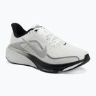Кросівки для бігу чоловічі Nike Pegasus 42 summit white/metallic silver-photon dust